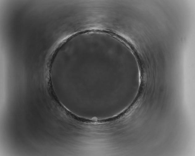 X0000094781359200711301538