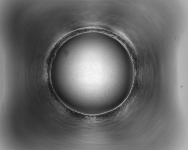 X0000094781360200711301538