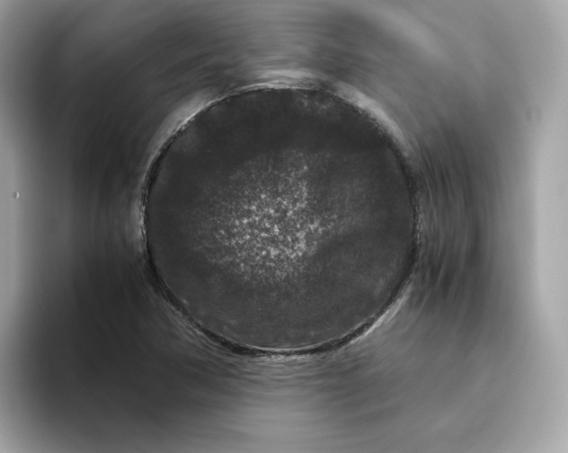 X0000094781362200711301538