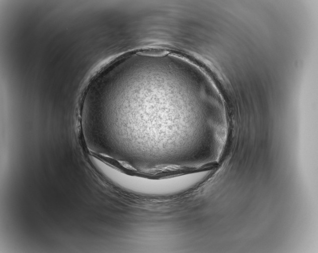 X0000094781363200711301538