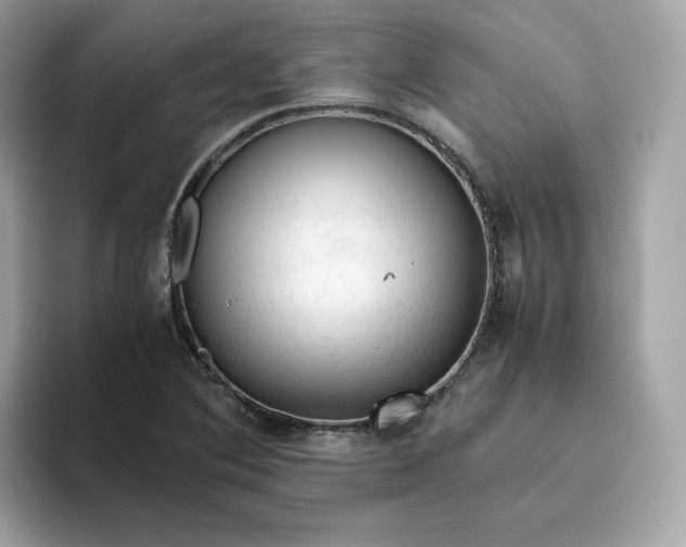 X0000094781364200711301538