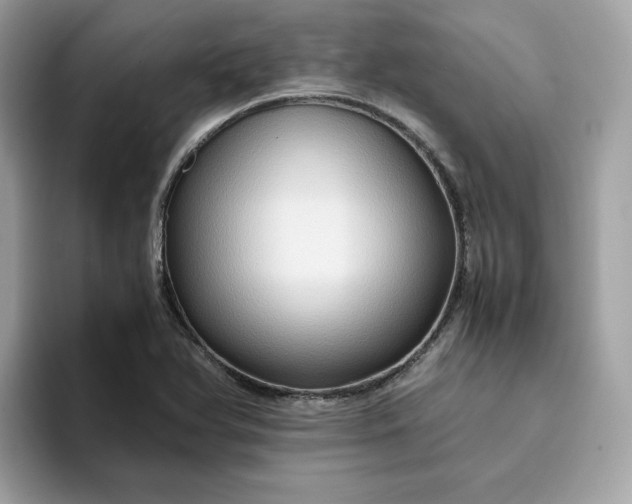X0000094781366200711301538