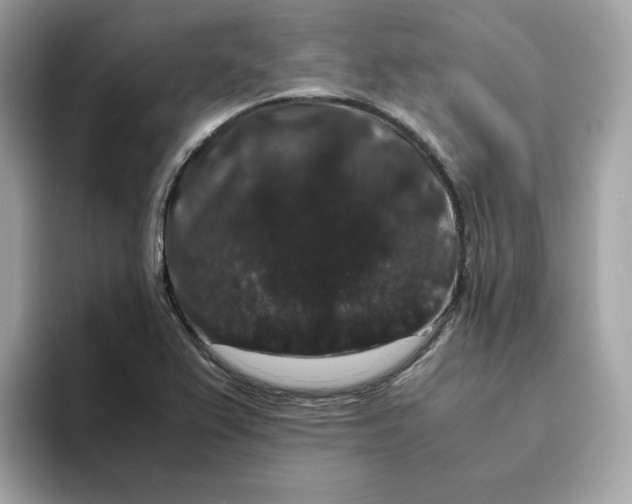 X0000094781367200711301538