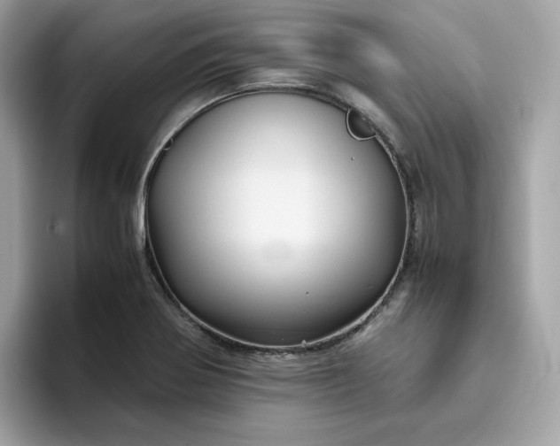 X0000094781370200711301537