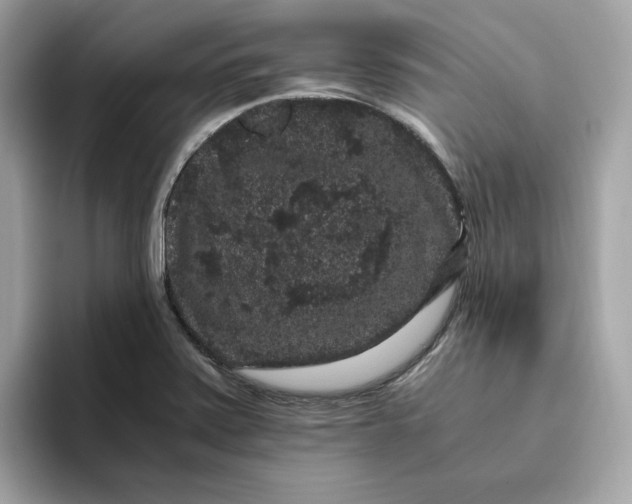 X0000094781371200711301537