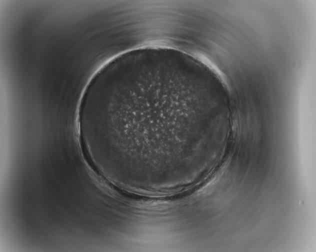 X0000094781372200711301537