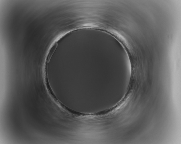 X0000094781373200711301537