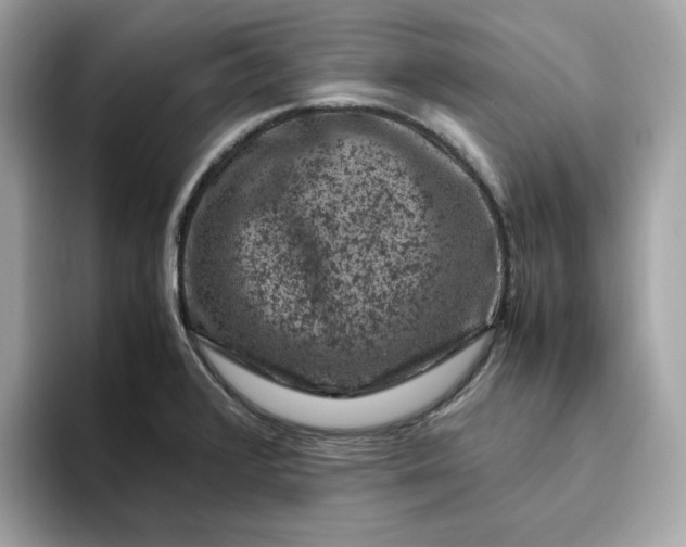 X0000094781376200711301537
