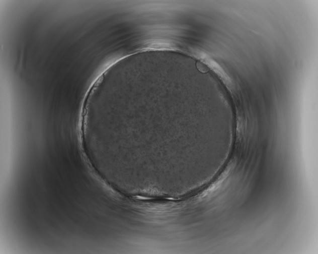 X0000094781378200711301537
