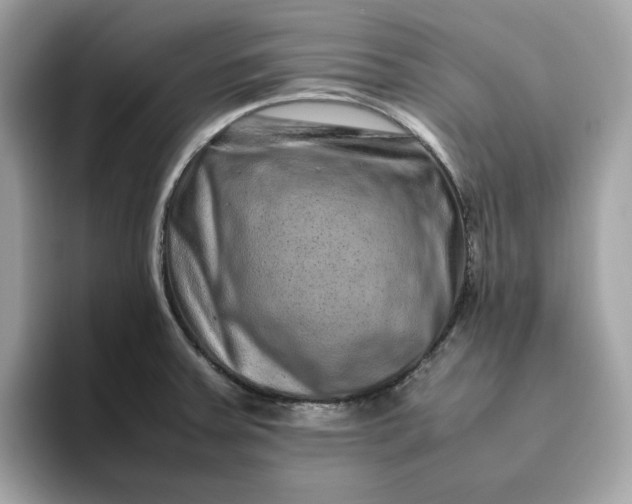 X0000094781379200711301537