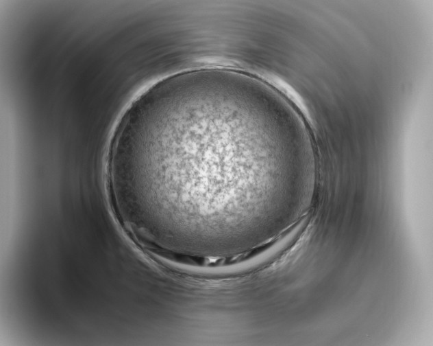X0000094781381200711301537