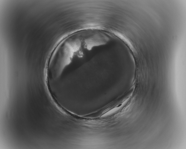 X0000094781383200711301537