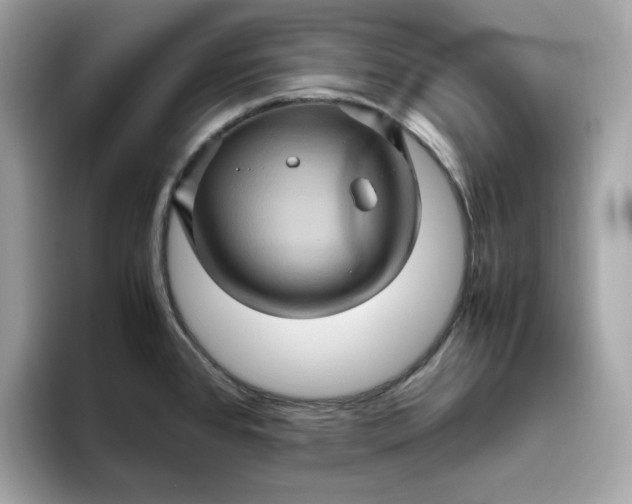 X0000094781384200711301537