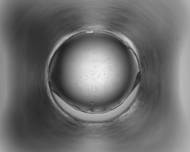 X0000094781389200711301537