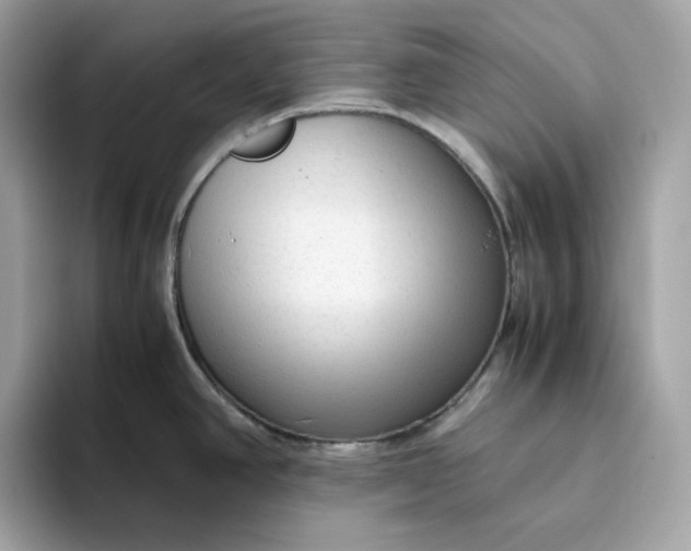 X0000094781390200711301537