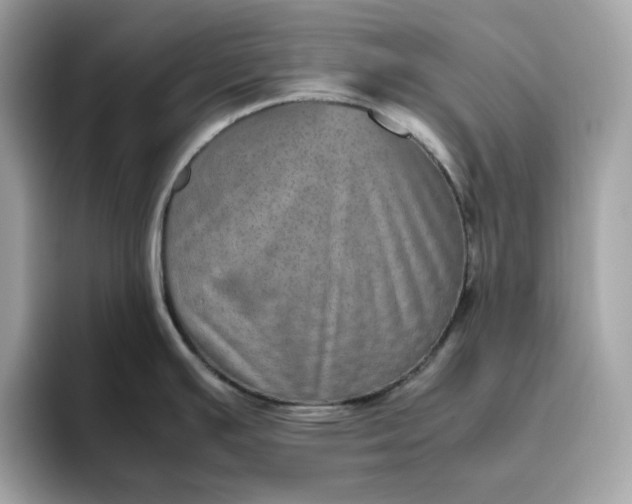X0000094781391200711301537
