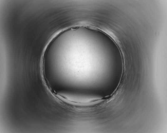 X0000094781392200711301537