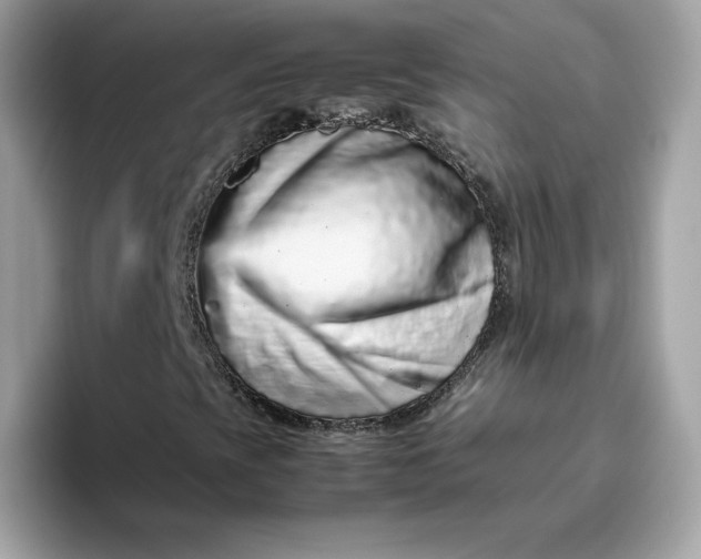X0000094781393200711301537