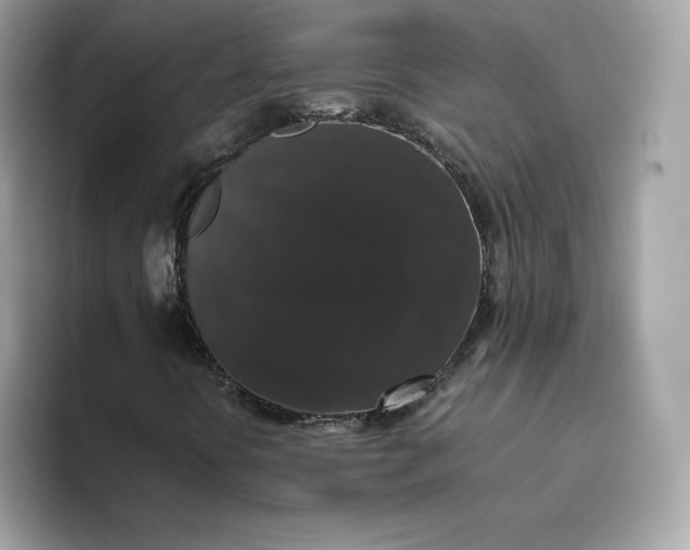 X0000094781394200711301537