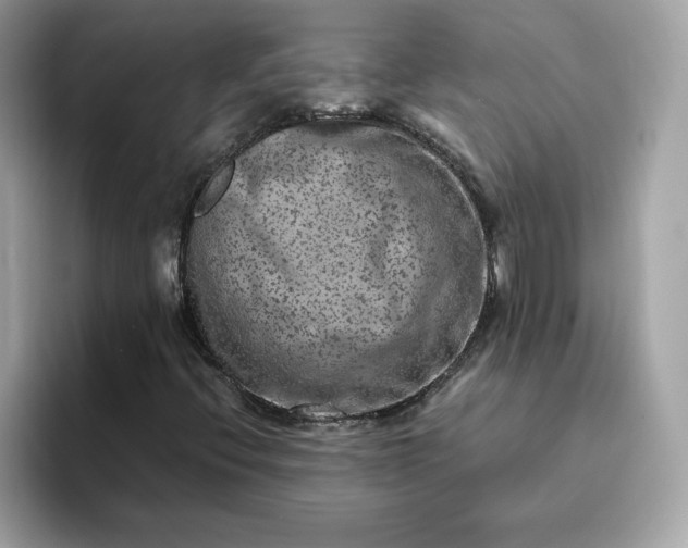 X0000094781396200711301537