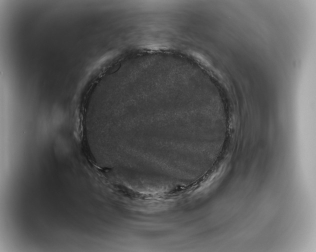 X0000094781398200711301537
