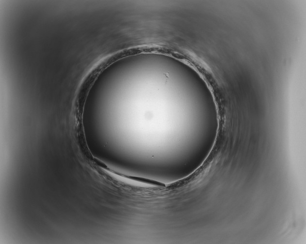 X0000094781400200711301537