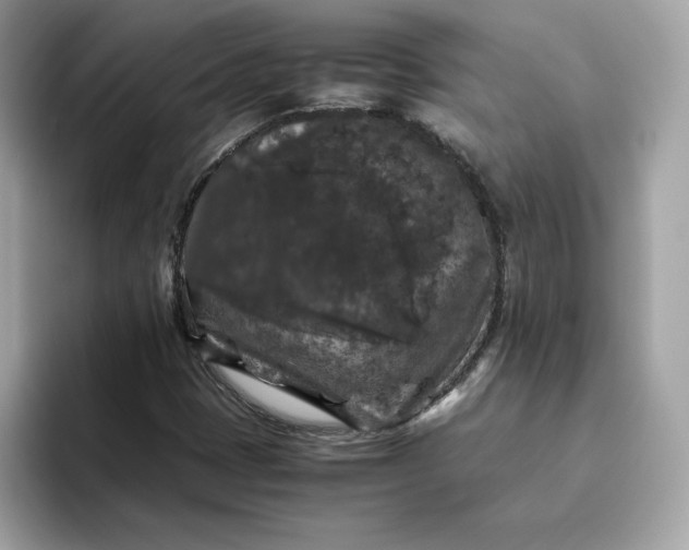 X0000094781401200711301537