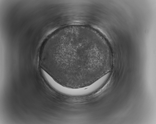 X0000094781402200711301537