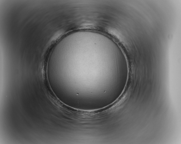 X0000094781403200711301537