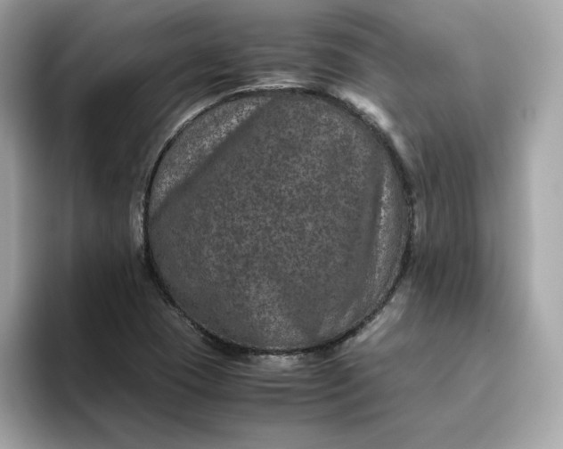 X0000094781409200711301537