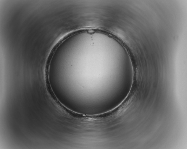 X0000094781412200711301537