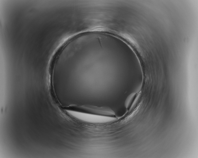X0000094781414200711301537