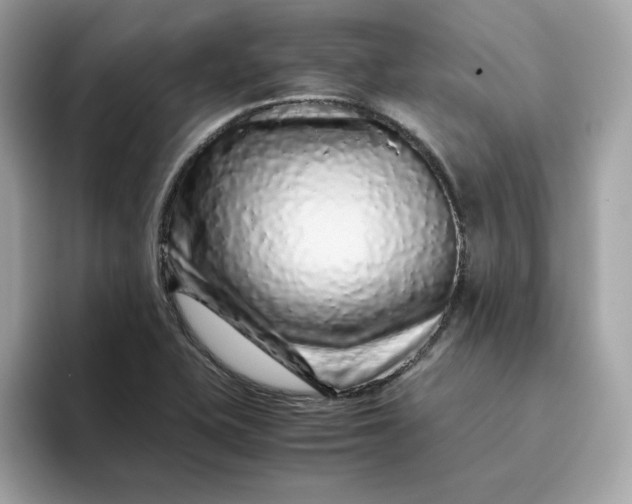 X0000094781415200711301537