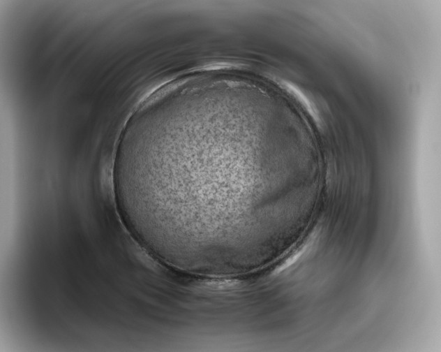 X0000094781417200711301537