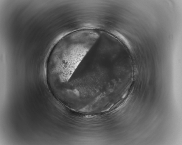 X0000094781419200711301537