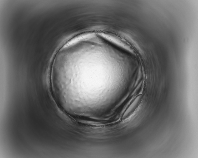 X0000094781421200711301537