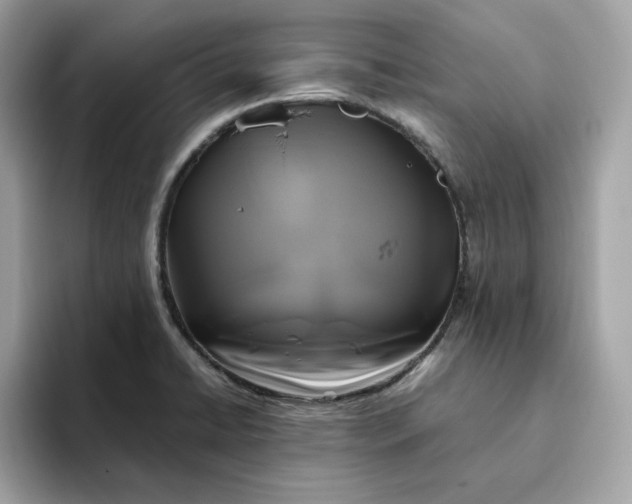 X0000094781422200711301537