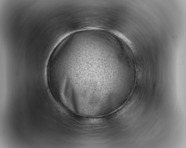 X0000094781423200711301537