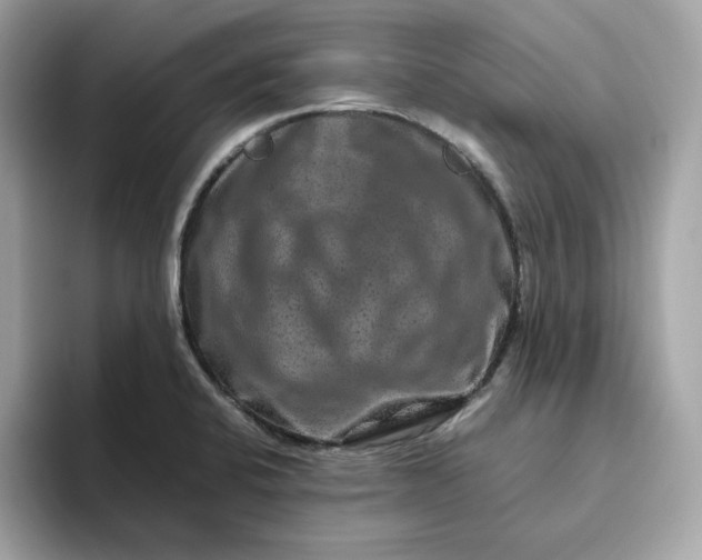 X0000094781424200711301537