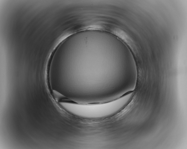 X0000094781426200711301537