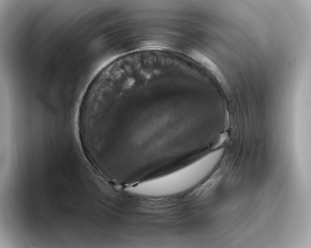 X0000094781427200711301537