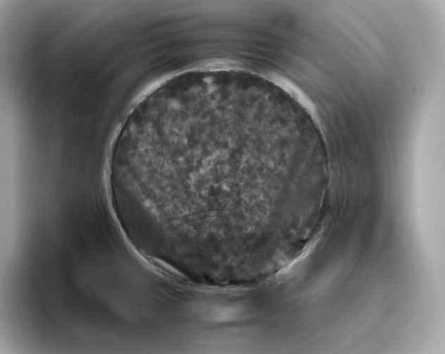 X0000094781429200711301537