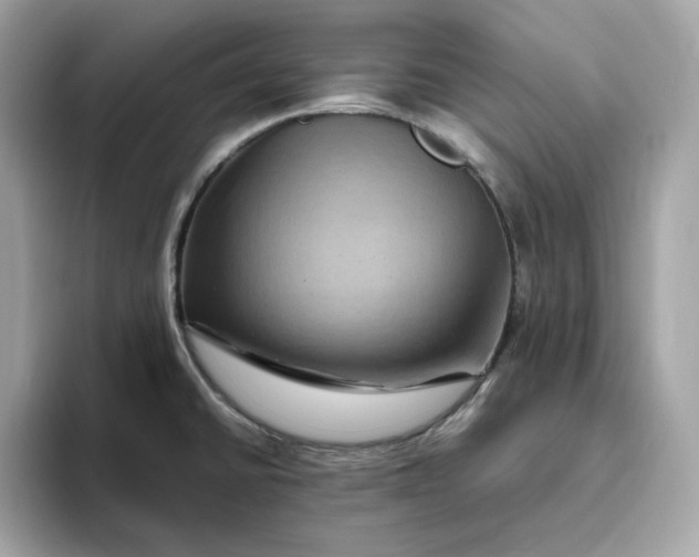X0000094781430200711301537