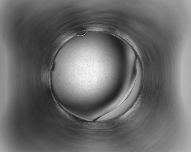 X0000094781433200711301537