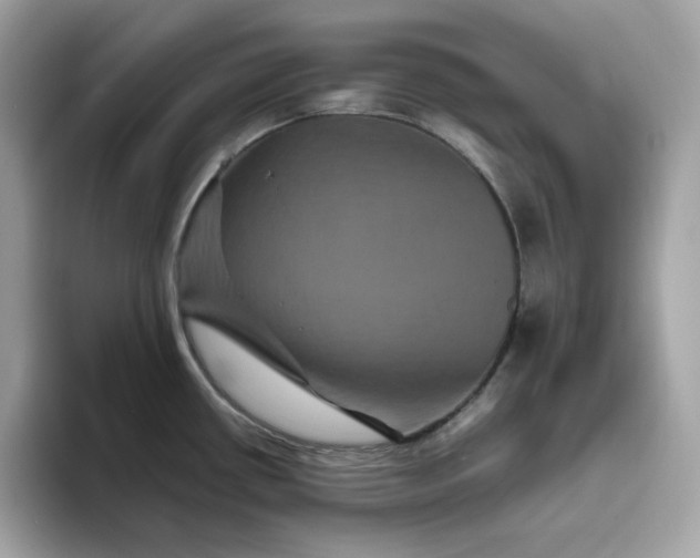 X0000094781434200711301537