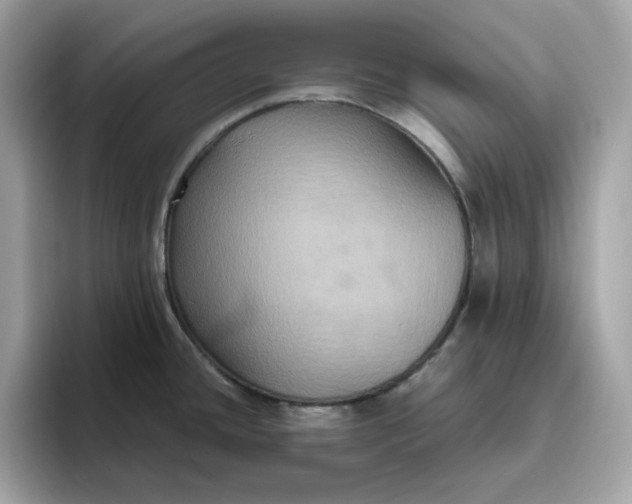 X0000094781436200711301537