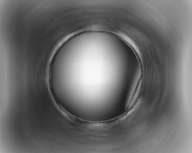 X0000094781437200711301537