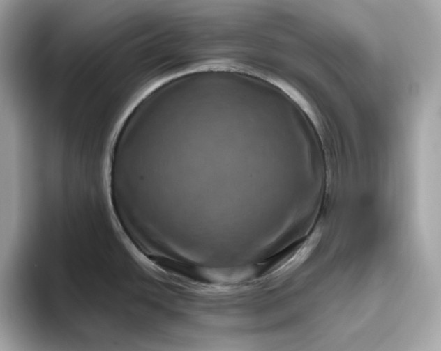 X0000094781438200711301537