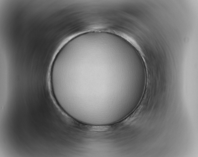 X0000094781440200711301537