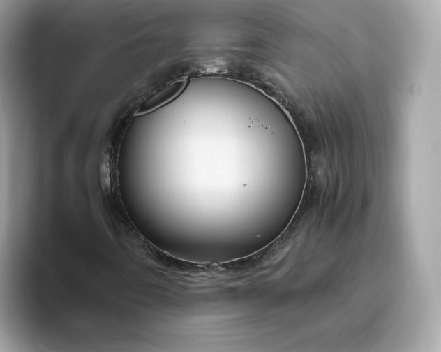 X0000094781442200711301537